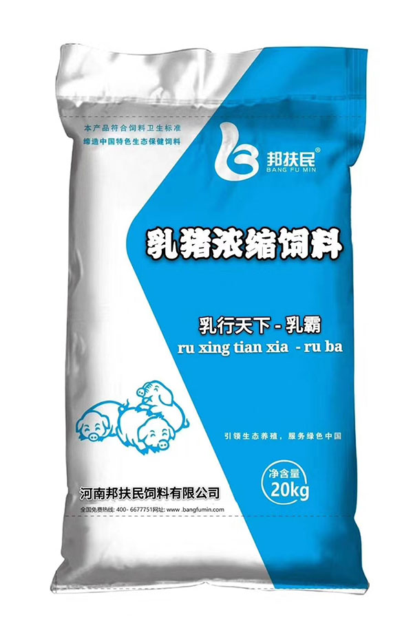 乳猪香蕉视频第一黄色网站